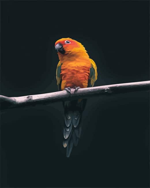 Orange Bellied Parrot Paint By Numbers