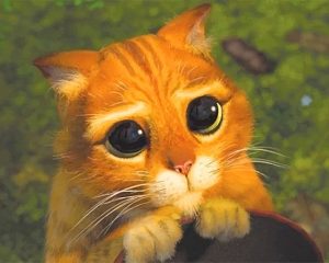 Puss In Boots Paint By Numbers