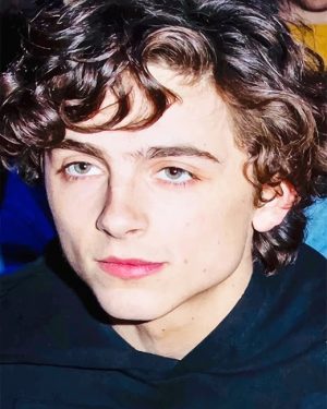 Actor Timothee Chalamet Paint By Numbers