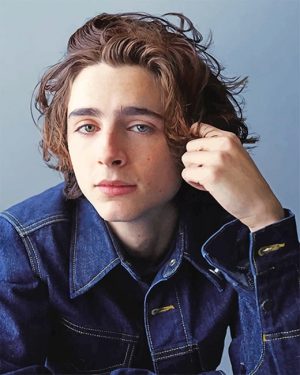 Timothee Chalamet Paint By Numbers