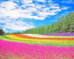 Hokkaido Garden Paint By Numbers