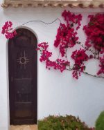 Lovely Front Door NEW Paint By Numbers