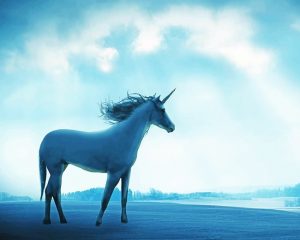 Magical Unicorn NEW Paint By Numbers
