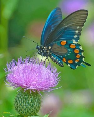 Blue Swallowtail Butterfly Paint By Numbers