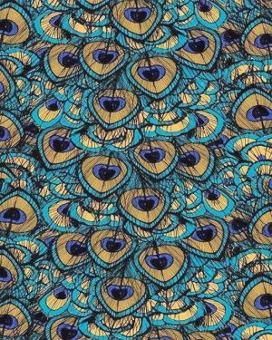 Peacock Feathers Paint By Numbers