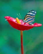 Tiger Butterfly Paint By Numbers