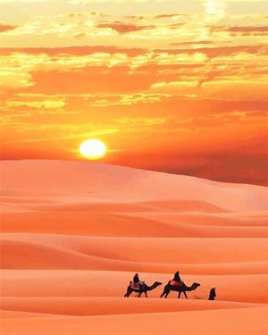 Sahara Desert Paint By Numbers
