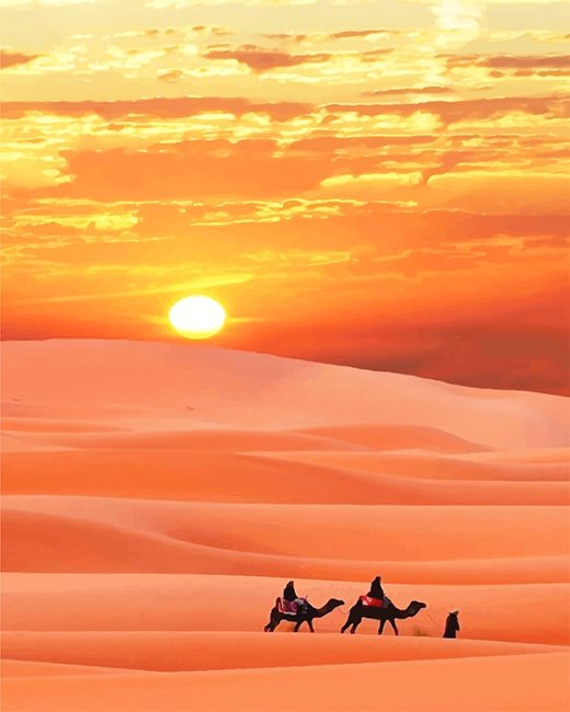 Sahara Desert Paint By Numbers