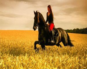 Woman On Horse Paint By Numbers