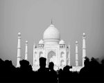 Black And White Taj Mahal NEW Paint By Numbers