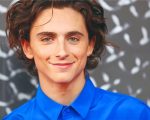 Actor Timothee Chalamet Paint By Numbers