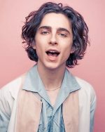 Timothee Chalamet Actor Paint By Numbers