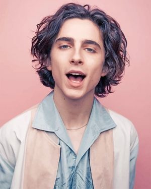 Timothee Chalamet Actor Paint By Numbers