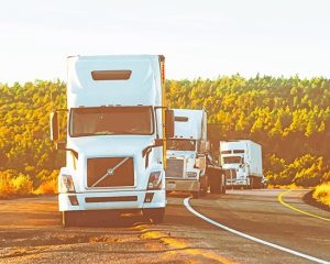 White Trucks Paint By Numbers