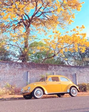 Yellow Volkswagen Beetle Paint By Numbers