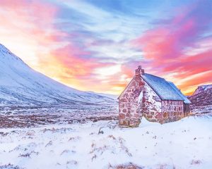 Brown House Snow NEW Paint By Numbers