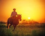 Sunset Cowboy Paint By Numbers