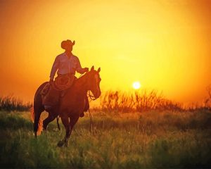 Sunset Cowboy Paint By Numbers