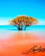 Roebuck Bay Australia Paint By Numbers