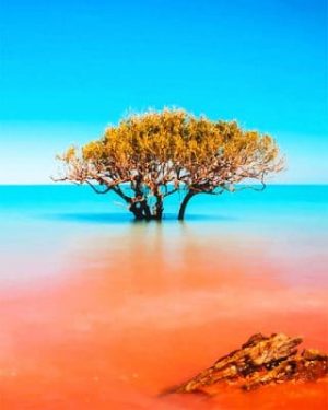 Roebuck Bay Australia Paint By Numbers