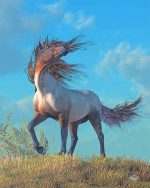 Wild Horse Paint By Numbers