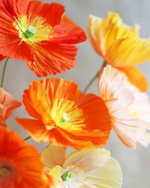 Orange And Yellow Poppies Paint By Numbers