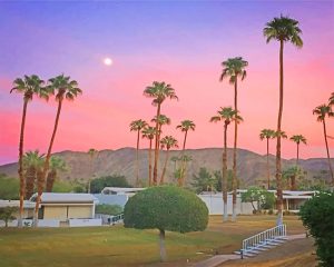 Palm Spring California NEW Paint By Numbers