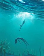 Saviour NEW Paint By Numbers