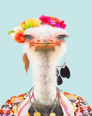 Stylish Common Ostrich NEW Paint By Numbers