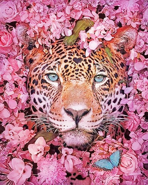 Pink Flowers Leopard Paint By Numbers