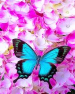 Blue Butterfly On Flowers Paint By Numbers
