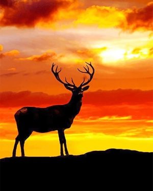 Sunset Deer Silhouette Paint By Numbers