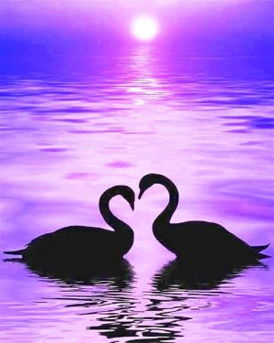 Swans Silhouette Paint By Numbers