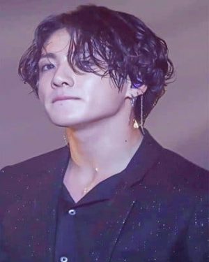 The South Korean Singer Jungkook NEW Paint By Numbers