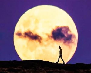 Man Walking Alone Silhouette NEW Paint By Numbers