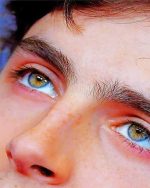 Timothee Chalamet Eyes Paint By Numbers
