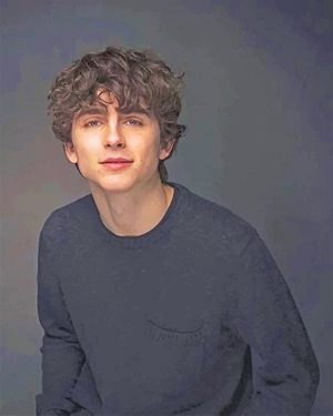 Timothee Chalamet Paint By Numbers