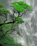 Trees And Waterfall Paint By Numbers