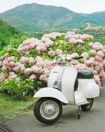 White Vespa Scooter Paint By Numbers