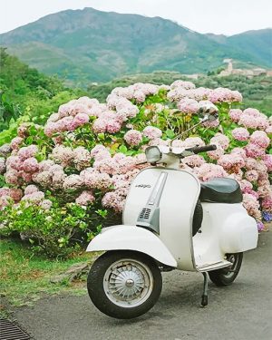 White Vespa Scooter Paint By Numbers