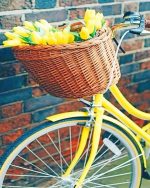 Yellow Bicycle And Flowers Paint By Numbers