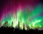 Aurora Borealis Trees Silhouette Paint By Numbers