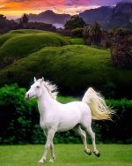 Beautiful White Horse NEW Paint By Numbers