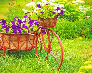 Bicycle Garden Flower NEW Paint By Numbers