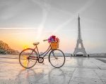 Bike In Eiffel Tower Paint By Numbers