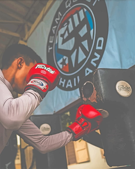 Boxing Sandbag Paint By Numbers