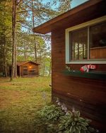 Forest Cottage Paint By Numbers