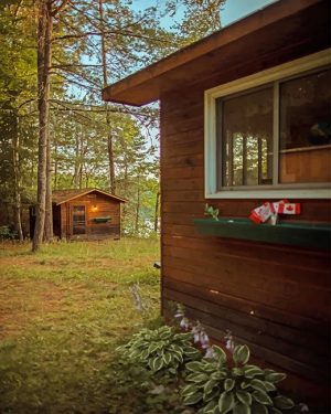 Forest Cottage Paint By Numbers