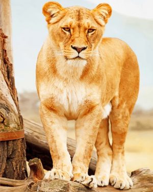 Wildlife Lioness Paint By Numbers