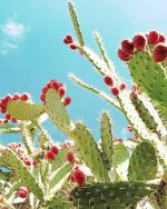 Cactus Barbary Fig Paint By Numbers